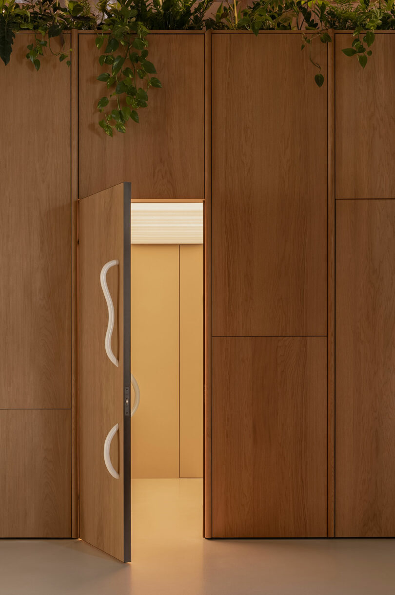 A partially open wooden door with white wavy handles is set within a wooden wall, with green plants on top and beige room visible inside.