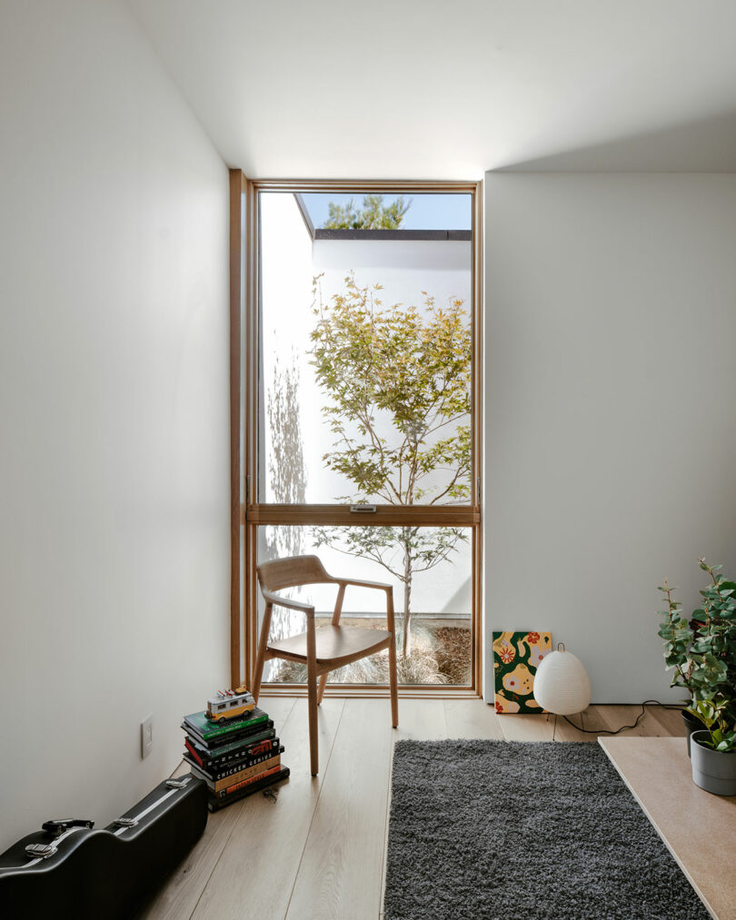 A minimal room with a wooden chair by a large window, a small tree outside, a stack of books, a guitar case, a small lamp, and indoor plants on a light wood floor.