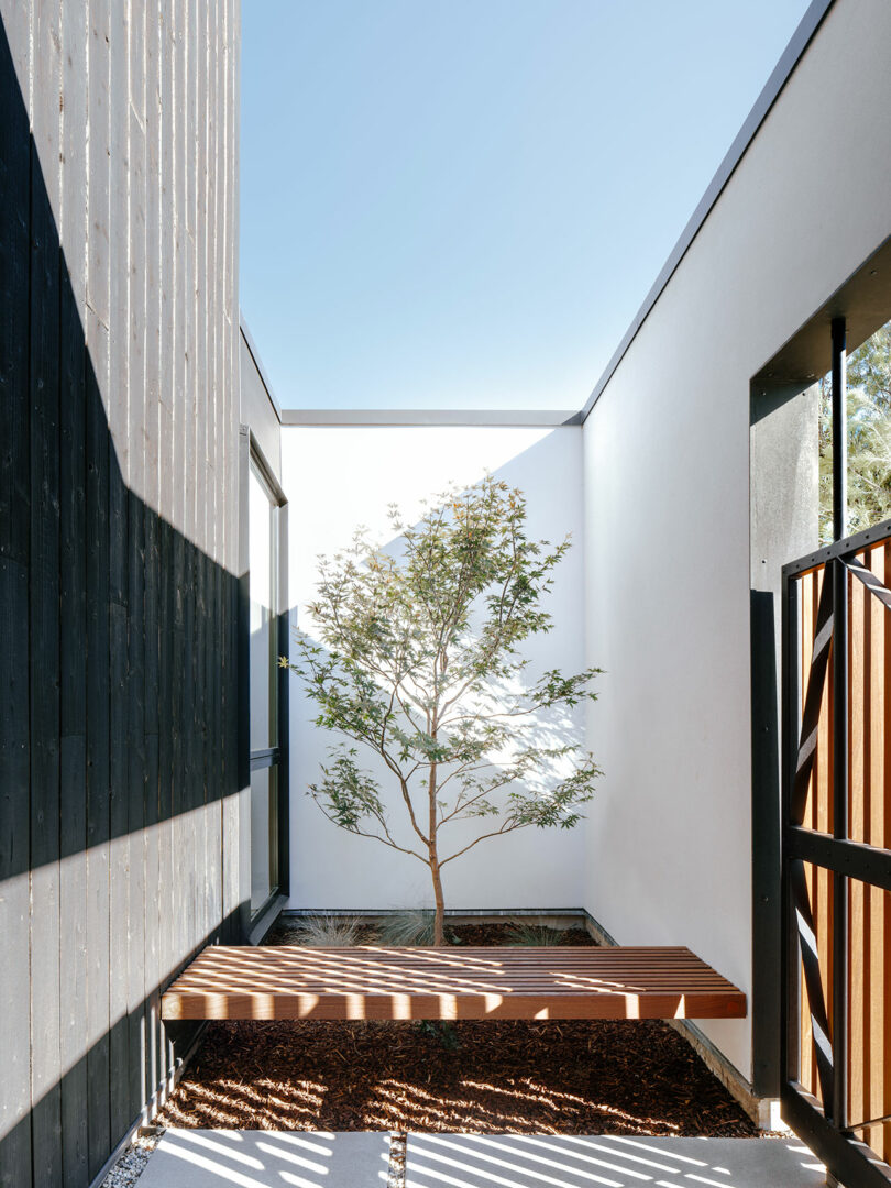 A small courtyard with a solitary tree, a wooden bench, and white and dark wood walls under a clear blue sky.