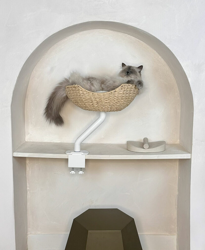 A fluffy gray cat lounges in a woven basket atop an Ergo Purrch, mounted on a shelf within a white alcove niche.