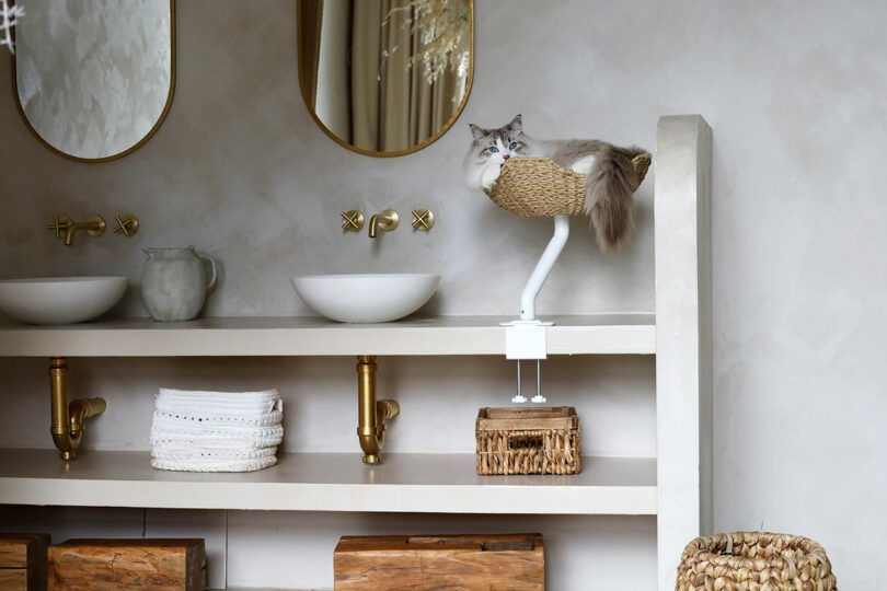 A cat lounges in an Ergo Purrch basket mounted on a bathroom counter near two sinks, mirrors, and shelves with towels and baskets.