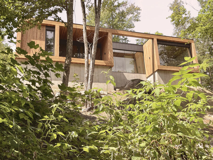 A modern, rectangular wooden house with large windows sits elevated on a concrete base, surrounded by trees and dense green foliage.