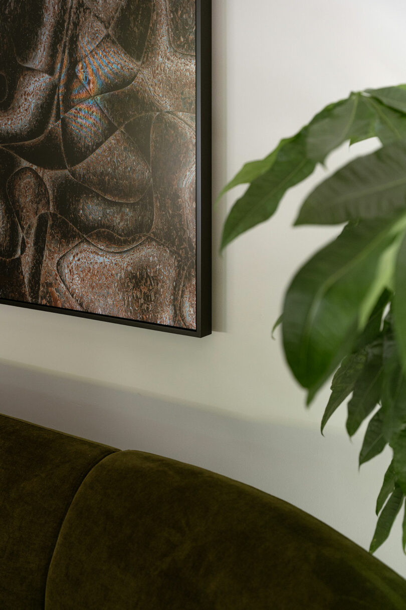 Framed abstract artwork on a white wall beside a large green plant and a curved, olive-green upholstered sofa.