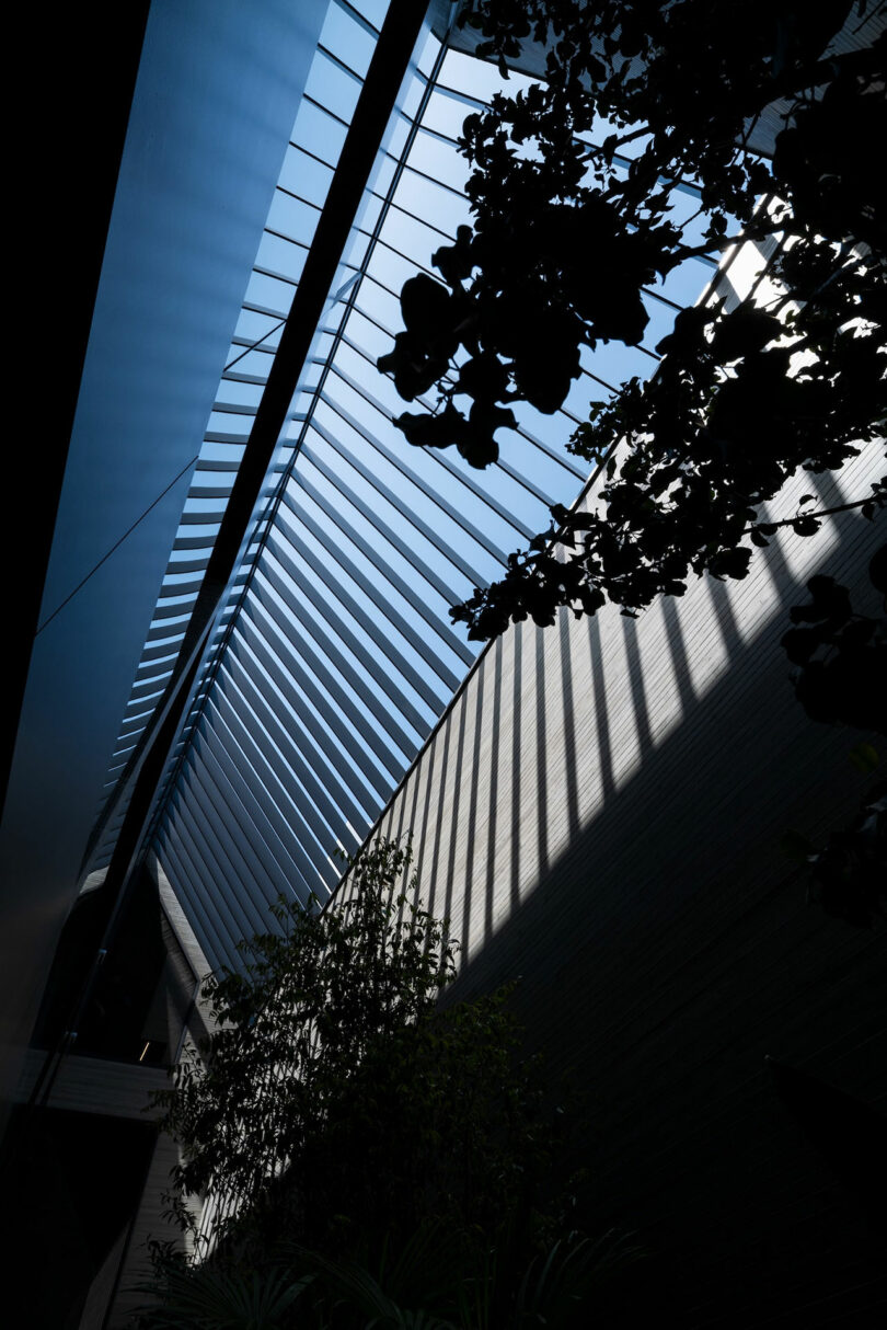 Large skylight with vertical slats casts shadows on a modern interior wall, with silhouetted plants and trees visible in the foreground.