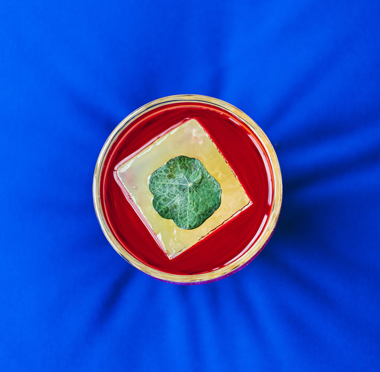 Design-Inspired Cocktails at The West Hollywood EDITION